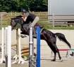 Castrone KWPN Cavallo da Sport Neerlandese In vendita 2022 Nero