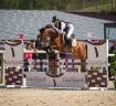 Castrone PFS Pony Francese da Sella In vendita 2020 Baio