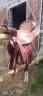 Sella western  Hereford brand by tex tan 17.5" - 2000