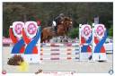Castrone PFS Pony Francese da Sella In vendita 2019 Sauro ,  Mon Nantano de florys