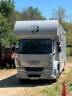 Camion per Cavalli Daf living 2008 Occasione