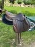 Sella mista Forestier  16.5" - 2022