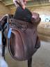 Bareback  &Eacute;volution cross  15.5" - 2024