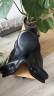 Sella da dressage Devoucoux  17.5" - 2022