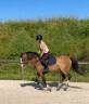 Cavalla PFS Pony Francese da Sella In vendita 2022 Roano ,  Greatstar dembets tilia