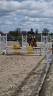 Intero New Forest In vendita 2022 Baio