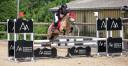 Castrone PFS Pony Francese da Sella In vendita 2017 Isabella