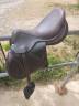 Sella mista Arion  17" - 2021