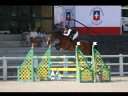 Cavalla sBs Cavallo da Sport Belgio In vendita 2018 Baio ,  Tzigano Mazu&egrave;re