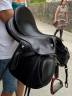 PRESTIGE HAPPY PONY SEGGIO 15