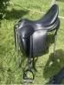Sella da dressage Childeric  17.5" - 2018