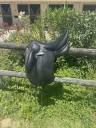 Sella da dressage Childeric  17.5" - 2024