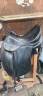 Sella equipe dressage 
