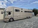 Camion per Cavalli Ketterer SCANIA P400 KETTERER 2012 Occasione