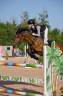 Cavalla PFS Pony Francese da Sella In vendita 2017 Baio