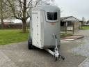 Trailer Bockmann Portax E 2 Cavalli 2021 Occasione