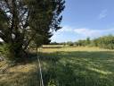 Bella dimora equestre In vendita Loire-Atlantique
