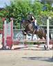 Pony francese