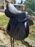 Sella mista Forestier  17.5" - 2026