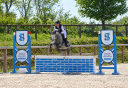 Castrone PFS Pony Francese da Sella In vendita 2022 Grigio