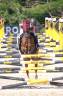 Pony Francese da Sella
