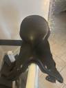Sella mista Thorowgood  T8 GP compact bas garrot 17" - 2024