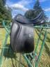 Sella da dressage Carlos Pinto SALDI Millenium 17.5" - 2015