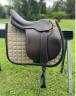 Sella mista Prestige Italia Golden star  17" - 2022