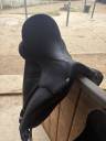 Sella da dressage Wintec  17.5" - 2018