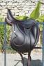 Sella da dressage Antar&egrave;s  16.5" - 2021