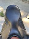 Sella da dressage Antar&egrave;s  17.5" - 2020