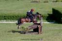 Castrone PFS Pony Francese da Sella In vendita 2013 Baio scuro