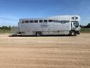 Camion per Cavalli Renault RENAULT PREMIUM 2010 Occasione