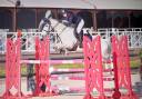 Castrone PFS Pony Francese da Sella In vendita 2014 Grigio