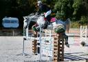 Cavalla Welsh Poney (Sezione C) In vendita 2016 Grigio ,  Orielton top secret GBR