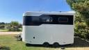 Trailer Steinsberger 3 chevaux  3 Cavalli 2015 Occasione