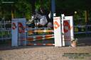 Straordinario Pony/cavallino 