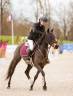 Cavalla PFS Pony Francese da Sella Noleggio 2017 Nero ,  WELCOME SYMPATICO
