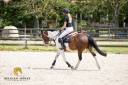 Castrone Altre Razze di Pony In vendita 2019 Pezzato