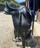 Sella da dressage Antar&egrave;s  17.5" - 2019