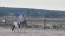 Cavalla Shetland In vendita 2023 Pezzato