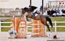 Cavalla 9 anni da Vleut x Corrado I - Vincente in 125 c