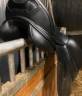 Sella da dressage Erreplus Impulse 17" - 2023