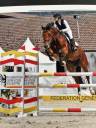 Cavalla KWPN Cavallo da Sport Neerlandese In vendita 2020 Baio ,  Opium JW VAN DER MOERHOEVE TN