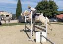 Castrone PFS Pony Francese da Sella In vendita 2017 Palomino