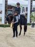 Stallone PFS Pony Francese da Sella In vendita 2019 Baio scuro