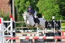 Castrone PFS Pony Francese da Sella Noleggio 2017 Grigio