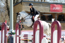 Castrone PFS Pony Francese da Sella In vendita 2017 Grigio