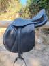 Sella mista Forestier Club 16" - 2024
