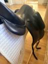 Sella da dressage Aulion  17" - 2023